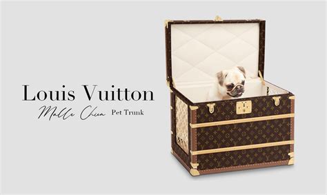 malle chien louis vuitton